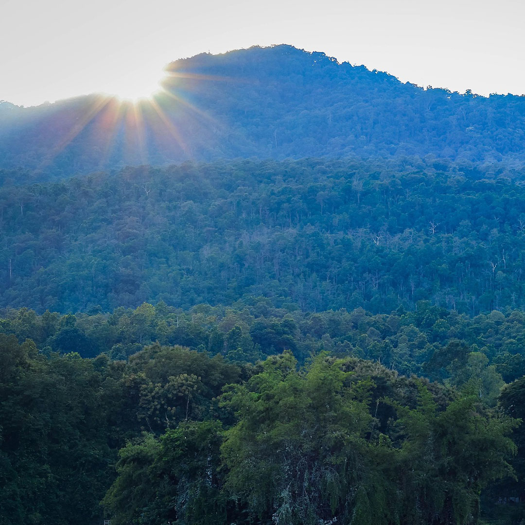 Luxury Photography & Nature Expedition in Chiang Mai - Image 4